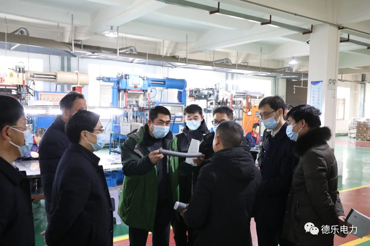 湖北理工學(xué)院博士團(tuán)赴德樂電力展開技術(shù)合作活動(dòng)